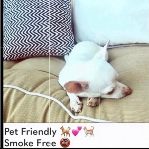 Amuse Society / Buckle Sun chaser Blush Rosewater Racerback tank top - Picture 12 of 12